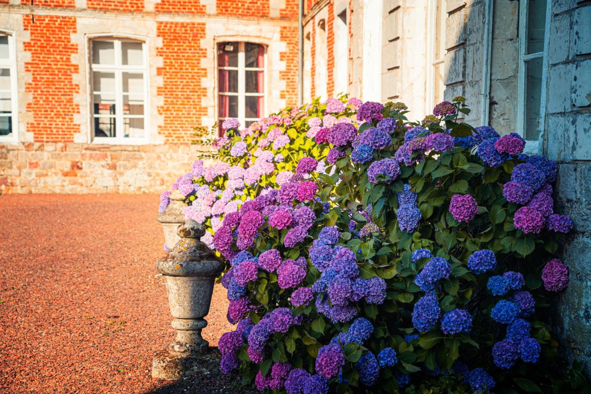 Chambres D'Hotes & Gites Du Chateau De Grand Rullecourt Exterior foto